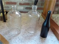 2 Chemung water bottles KITCHEN