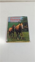 1974 All Color Book of Horses By Elizabeth