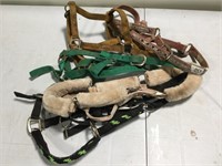 Horse Size Halters - Lot of 5