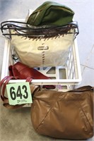 Ladies Hand Bags (B1)