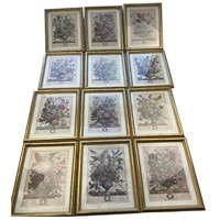 Set of 12 Framed Floral Prints