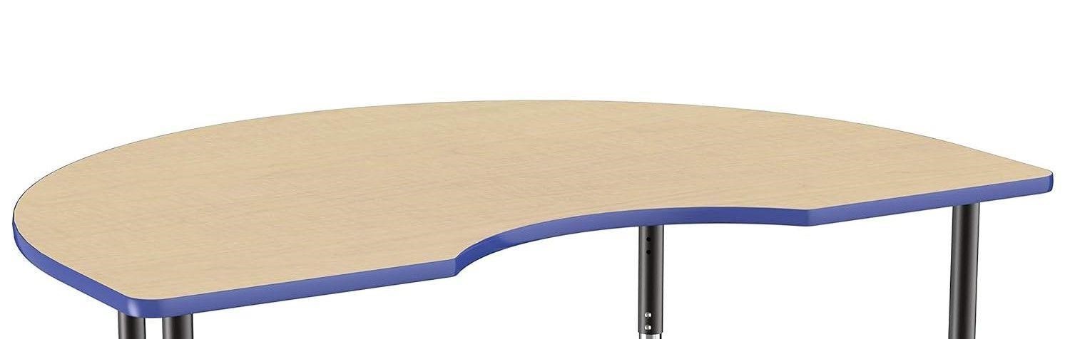 Kidney Activity School and Office Table Top
