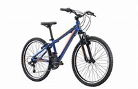 Reid Scout 24“ Bicycle