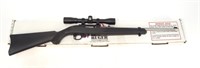 Ruger Model 10/22 stainless .22 LR semi-auto,