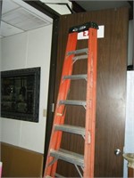 8 ft Werner Ladder