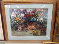 Framed Print of Cat