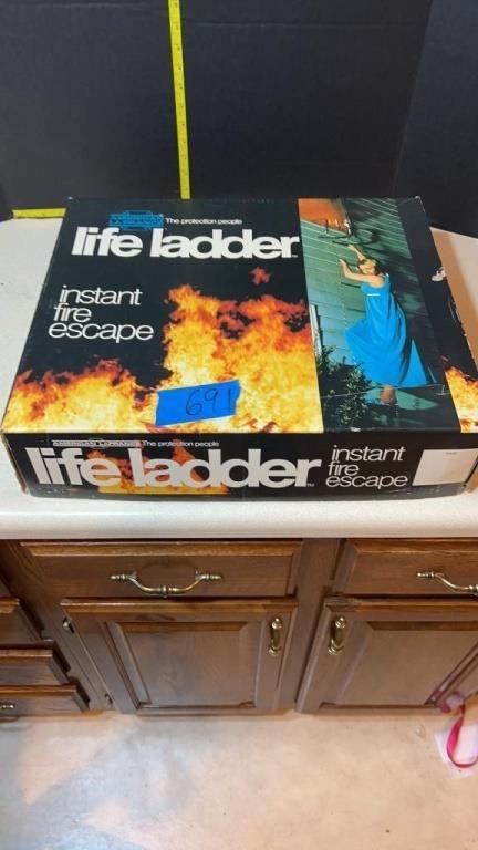 Life ladder 15’