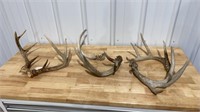 Antlers