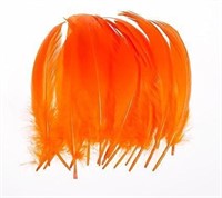 NEW 100 COUNT BLACK AND ORANGE FEATHERS