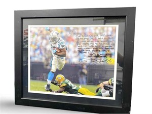 16x19 in. Jonathan Stewart NFL Framed  Autographed