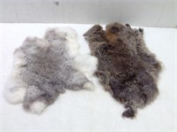 Pair of Furs  Squrirrel or Rabbit