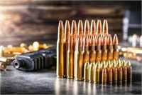 Free Gun Auction info https://youtu.be/xcz-y0F-GCM