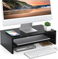 $33 Computer Monitor Stand 16.7 inch