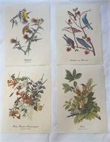 4 Audubon Bird Lithographs