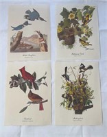 4 Audubon Bird Lithographs