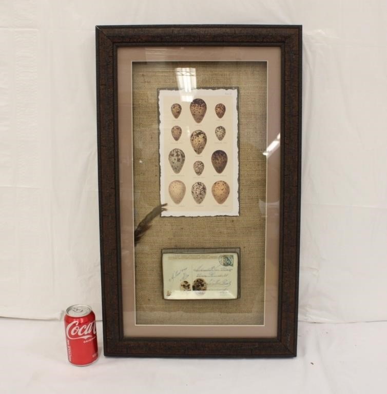 Shadow Box Framed Egg Dish & Bird Feather