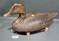 WILDFOWLER BLACK DUCK