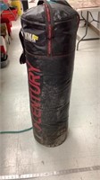 Mixed martial art punching bag