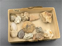 Small collection of stones and fossils