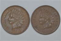 1899 and 1900 Indian Head Cents
