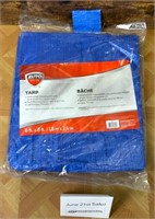 6' x 8' Tarp (blue)