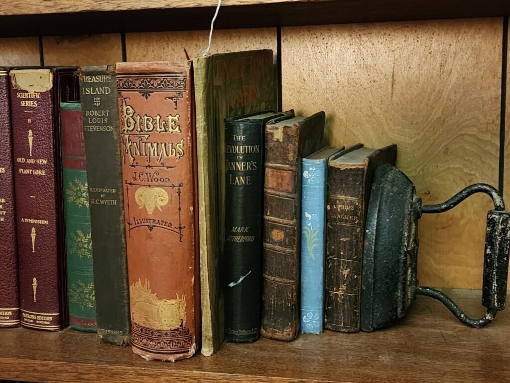 Lot Of Vintage Books & Sad Iron