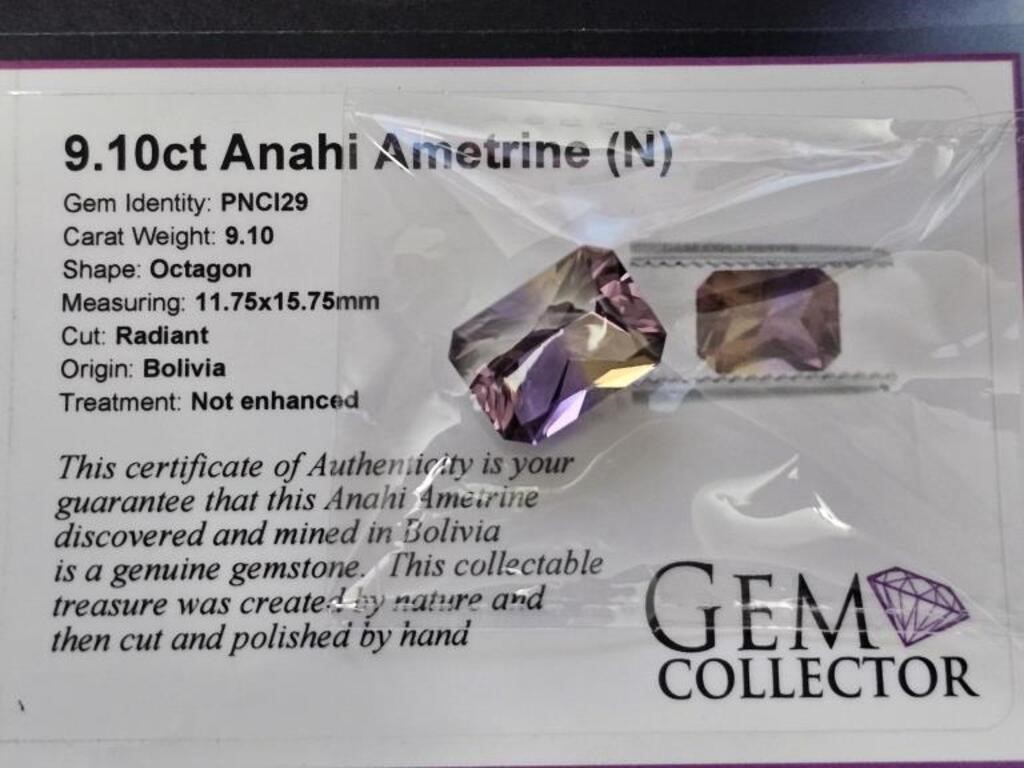 9.10ct Anahi Ametrine