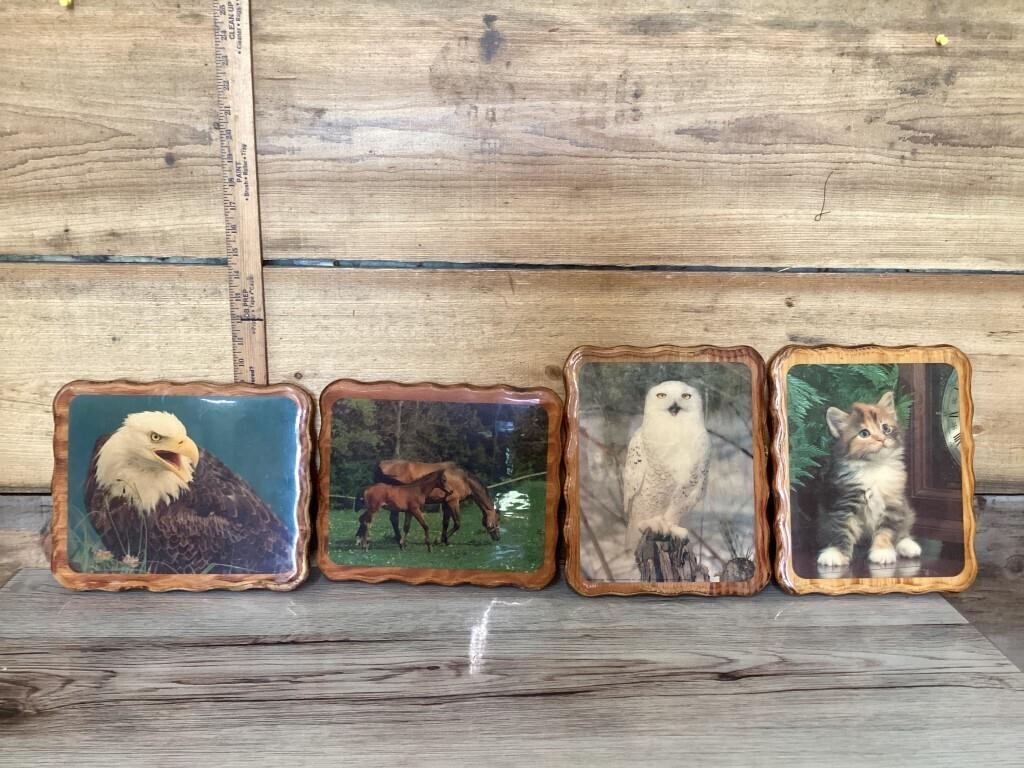 Wooden pictures coated with epoxy