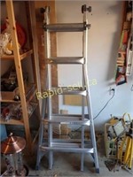 Mastercraft Adjustable Ladder