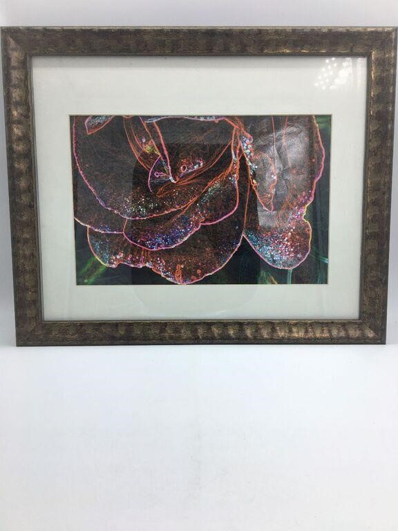 Framed Art Photograph