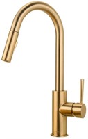 Kitchen Faucet with Pull Down Sprayer