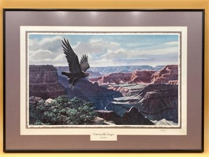 Framed 16x24” “Soaring The Canyon” By Don Balke