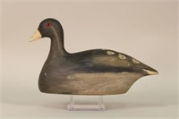 Coot Duck Decoy by Unknown Michigan Carver, Glass