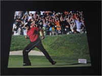 Tiger Woods Signed 8x10 Photo Direct COA