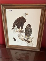 Don Whitlatch "Bald Eagle" Print