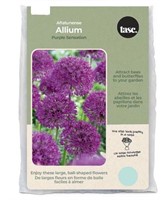 Tasc Allium Purple Sensation - 30 bulbs