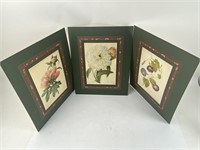 3 Floral Botanical Prints by P.J. Redoute