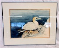 Framed MARY DAWN ROBERTS Watercolour