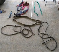 Assorted Straps Including 2 Lasso Ropes