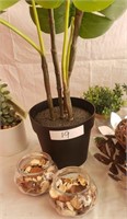 Artificial Plants and Home Decor