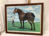 1911 “The Largest Horse in the World” Framed