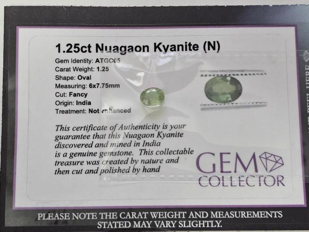 1.25 Nuagaon Kyanite