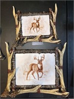 Antler Picture Frames