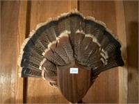 Vintage Turkey Tail Fan