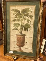 Potted plant picture