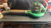Weed Eater brand Blower Vac