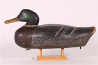 Mallard Drake Duck Decoy by Dodge/Peterson?,