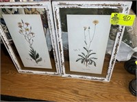 PAIR OF FRAMED PRINTS, FLORAL THEMED IN X 21 IN AP