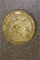 Queensland Amateur Swimming Championship Medal