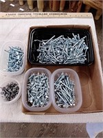 Variety of self tapping screws
